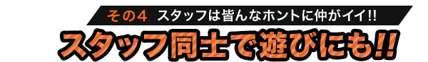 その4 スタッフは皆んなホントに仲がイイ！！