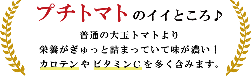 プチトマトのイイところ♪