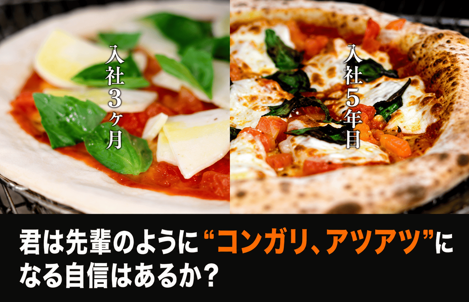 社員採用（新卒・中途）